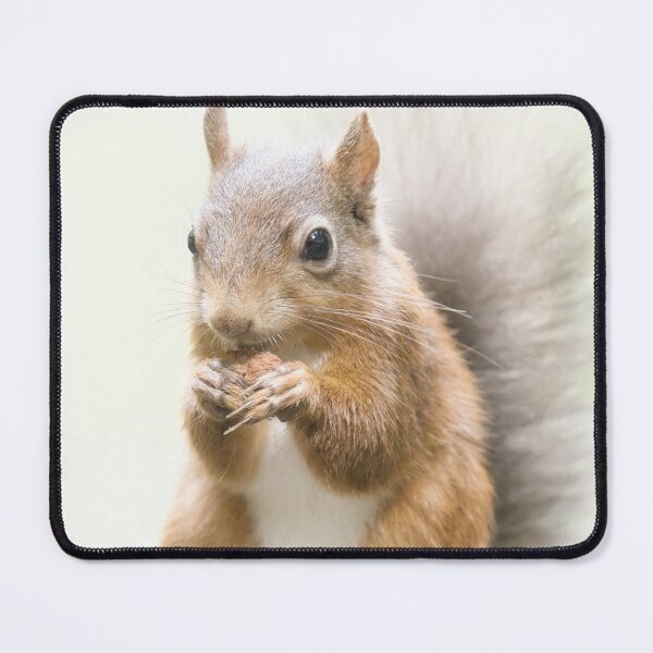 Item preview, Red Squirrel Portrait. designed and sold by Waitesy.