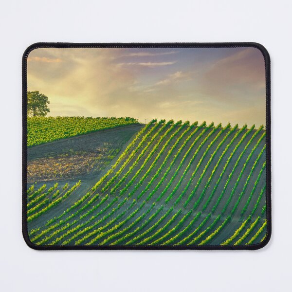 Item preview, Vineyards and a tree at sunset. Castellina in Chianti, Tuscany designed and sold by Stefano Orazzini.