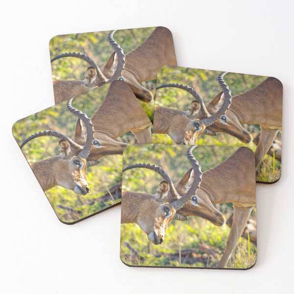 Item preview, Locking Horns designed and sold by Viv Thompson Photography .