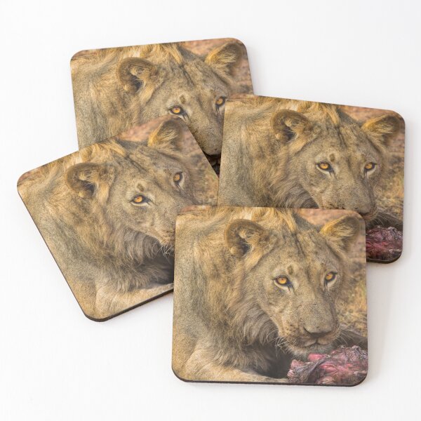 Item preview, A King's Banquet designed and sold by Viv Thompson Photography .