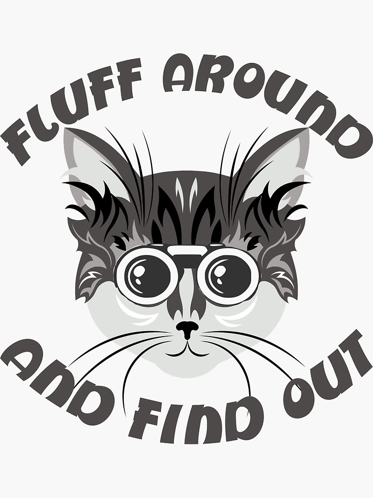 Fluff Around And Find Out Funny Cat Quote Throw Pillow for Sale by  Georgy09