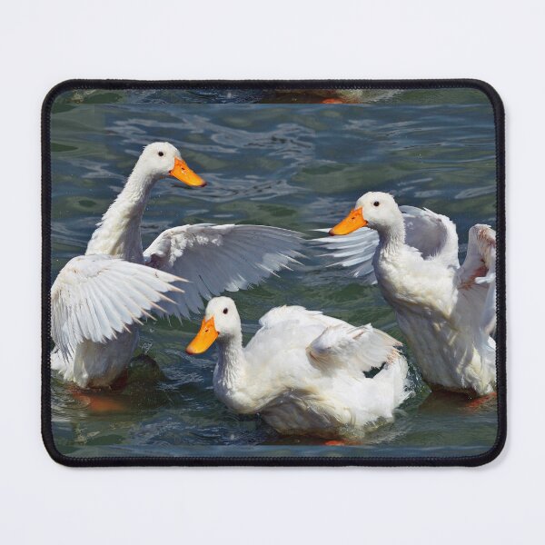 Item preview, White Ducks designed and sold by Savannah Gibbs.