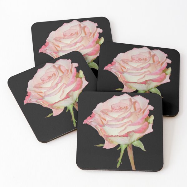 Item preview, Pink Rose Open Bloom - black background designed and sold by Louise-Mae.