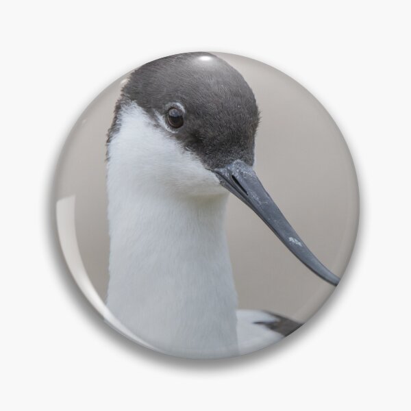 Item preview, Avocet designed and sold by LaurenTucker.