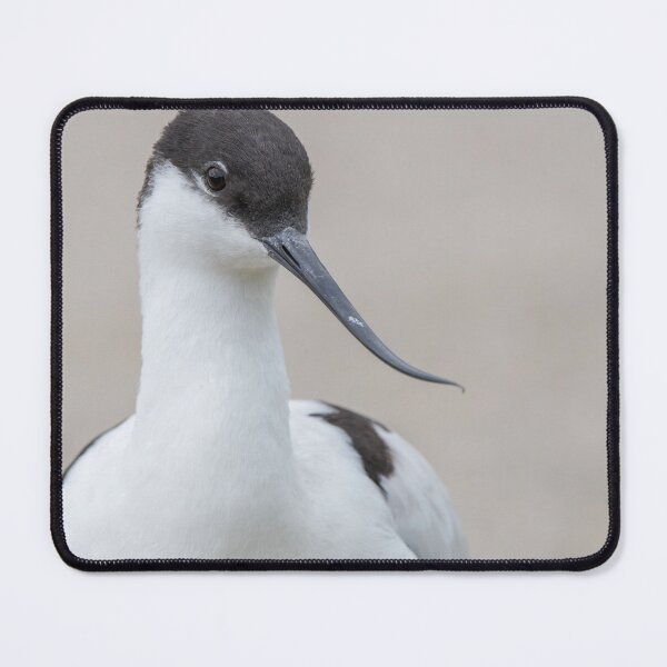 Item preview, Avocet designed and sold by LaurenTucker.