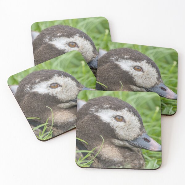 Item preview, Long Tailed Duck designed and sold by LaurenTucker.