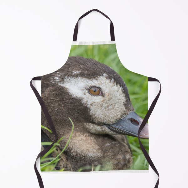 Item preview, Long Tailed Duck designed and sold by LaurenTucker.