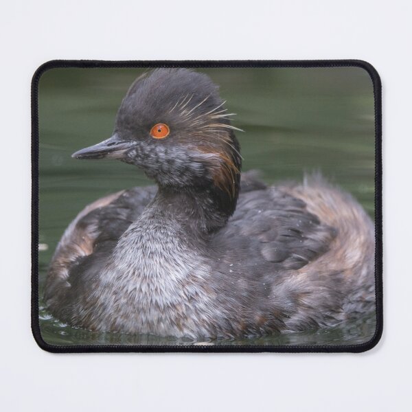 Item preview, Black Necked Grebe designed and sold by LaurenTucker.