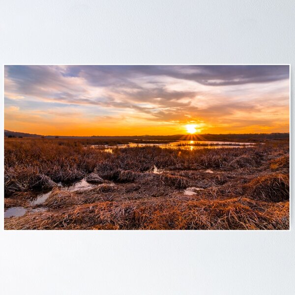 Item preview, Sunset in the marshlands in late winter designed and sold by Rabbitti.