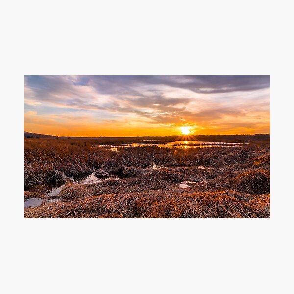 Item preview, Sunset in the marshlands in late winter designed and sold by Rabbitti.