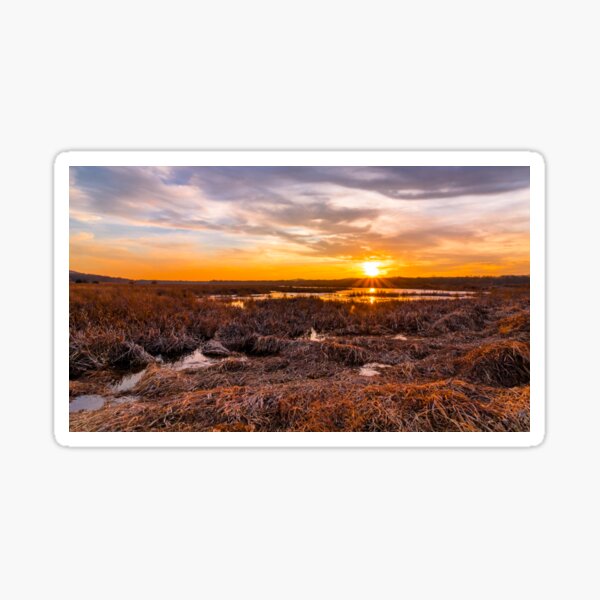 Item preview, Sunset in the marshlands in late winter designed and sold by Rabbitti.