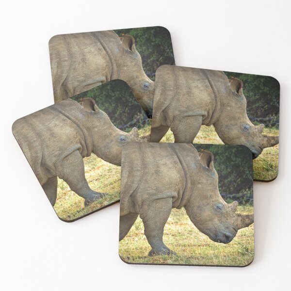 Item preview, White Rhino designed and sold by Viv Thompson Photography .