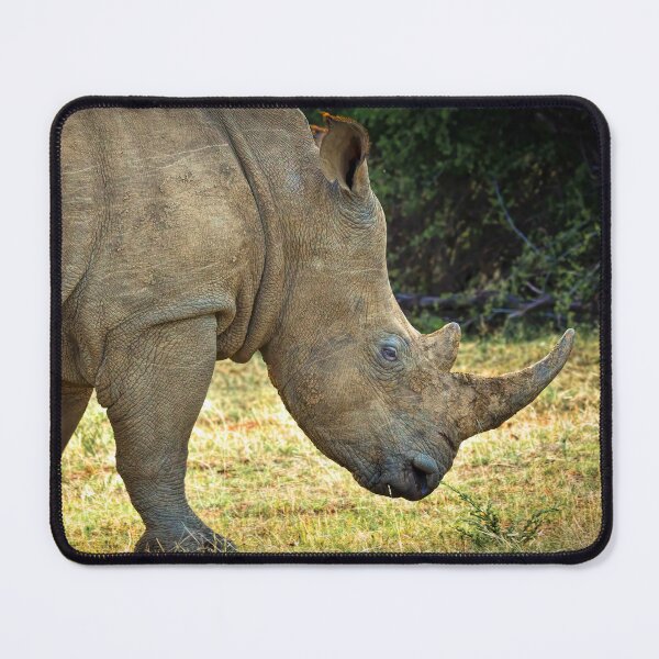 Item preview, White Rhino designed and sold by Viv Thompson Photography .