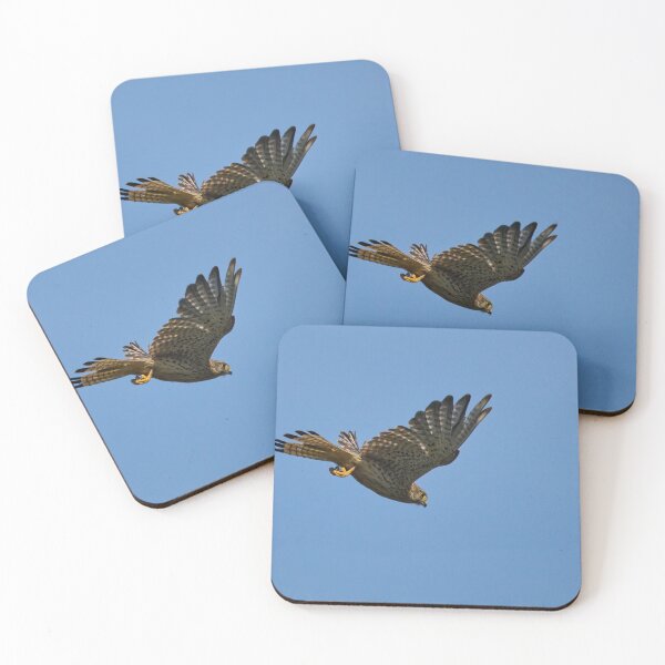 Item preview, Free as a bird. Common kestrel designed and sold by Jouko Lehto Photography.