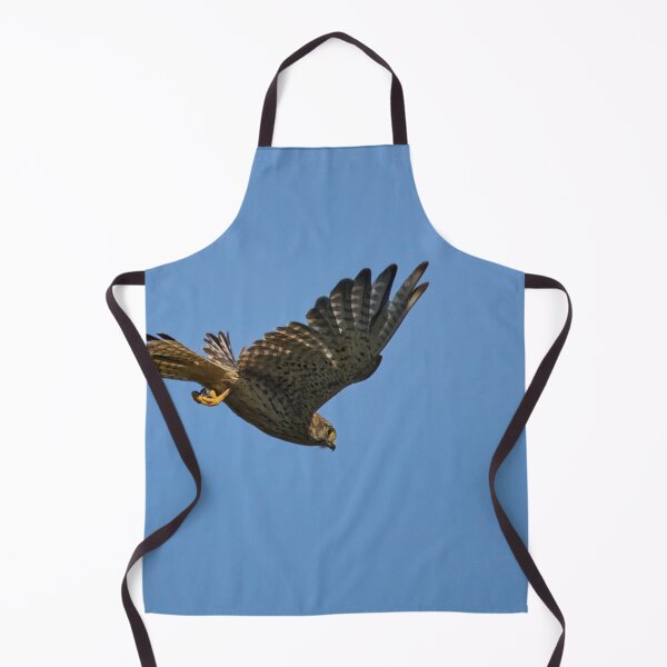 Item preview, Free as a bird. Common kestrel designed and sold by Jouko Lehto Photography.