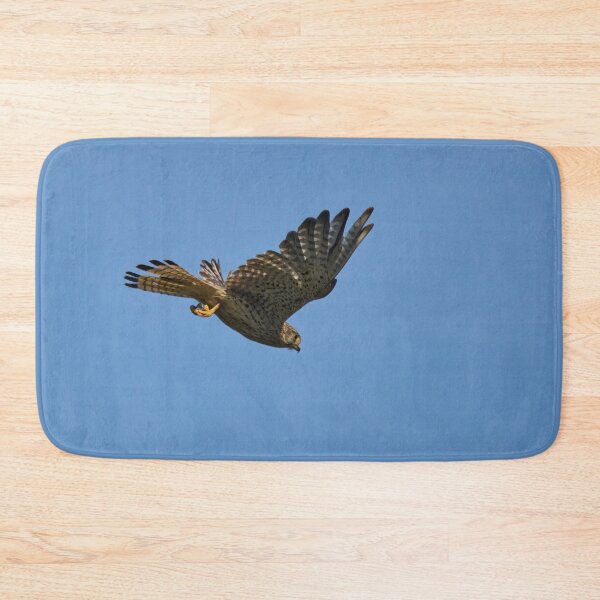 Item preview, Free as a bird. Common kestrel designed and sold by Jouko Lehto Photography.