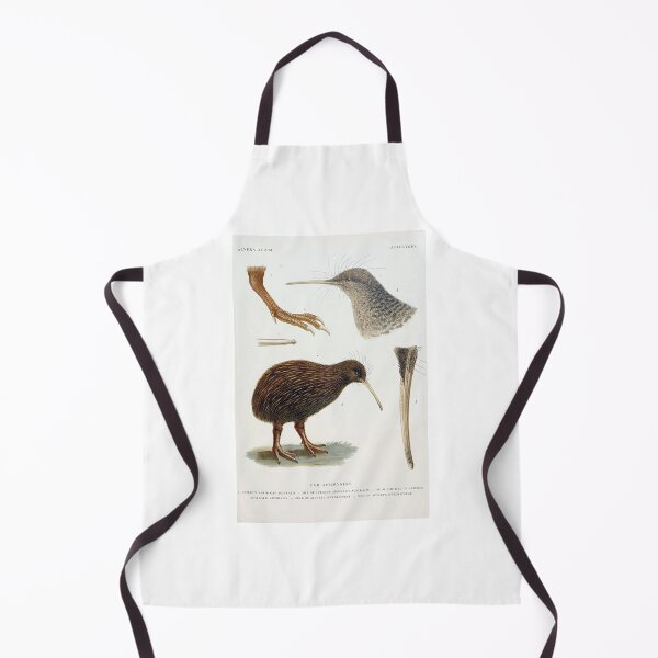 Item preview, Kiwi Illustration designed and sold by EcoscienceArt.