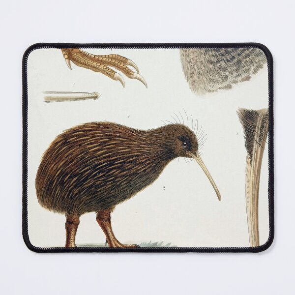 Item preview, Kiwi Illustration designed and sold by EcoscienceArt.