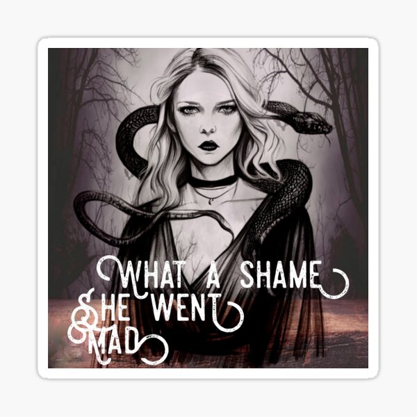 Mad woman lyrics-taylor swift  Poster for Sale by HeavenNo-18