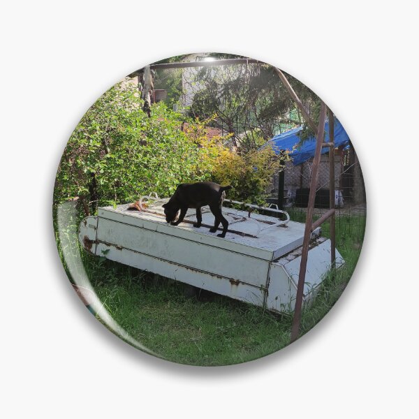 Item preview, a dog on a caravan designed and sold by BS-animals.