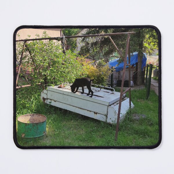 Item preview, a dog on a caravan designed and sold by BS-animals.