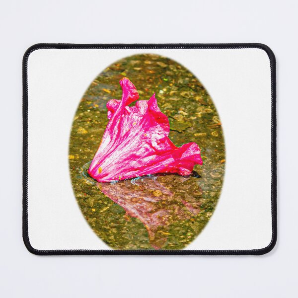 Item preview, Fallen but still beautiful designed and sold by Dalyndigital Photography.