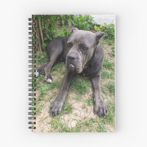 Item preview, puffy big dog designed and sold by BS-animals.
