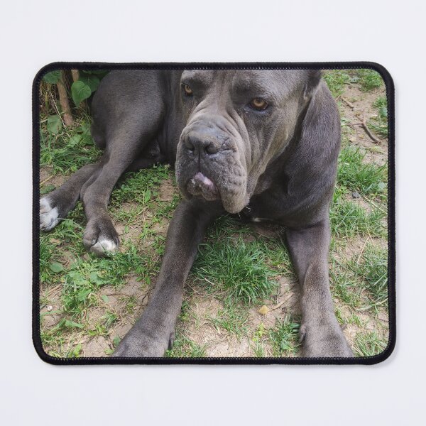 Item preview, puffy big dog designed and sold by BS-animals.