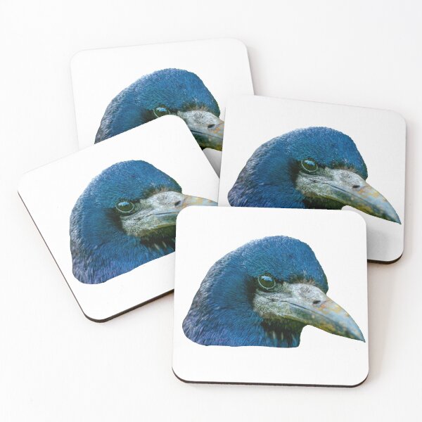 Item preview, Quizzical look from a Rook  designed and sold by Dalyndigital Photography.