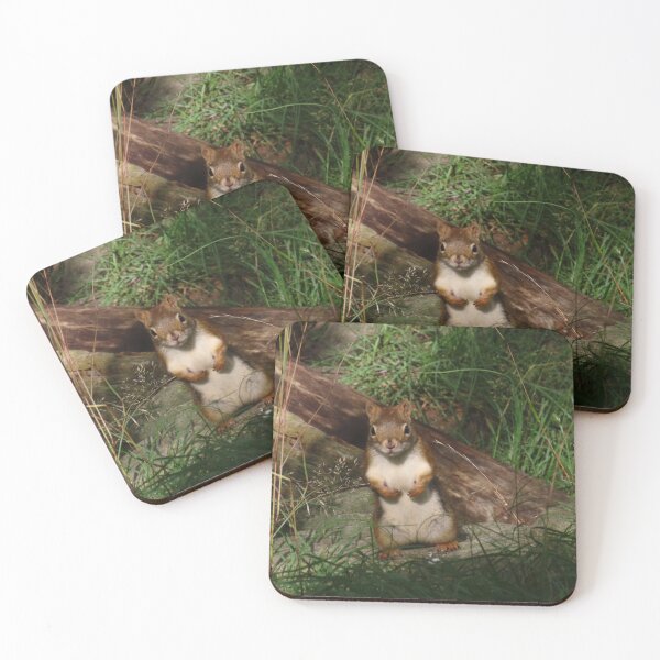Item preview, Adorable Squirrel in the Woods designed and sold by Monica-Stroud.