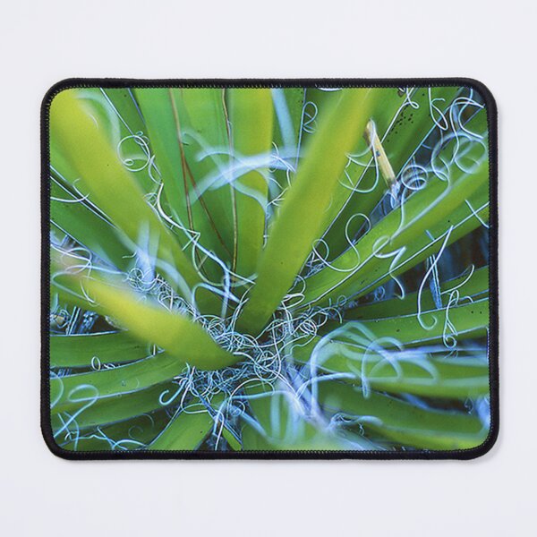 Item preview, Bright Green Yucca Plant Leaves designed and sold by Gillis54.