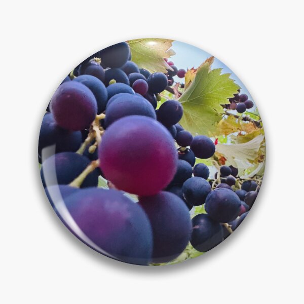 Item preview, Beautiful Grapes on the vine with sky designed and sold by KADHomes.