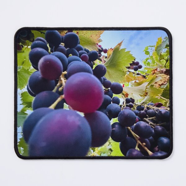 Item preview, Beautiful Grapes on the vine with sky designed and sold by KADHomes.