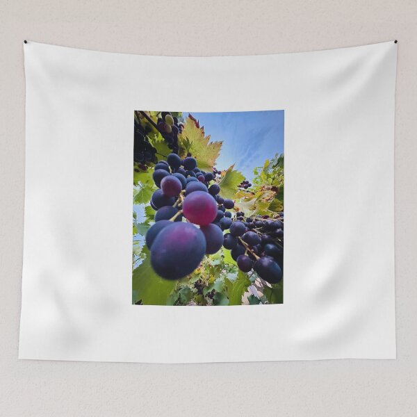 Item preview, Beautiful Grapes on the vine with sky designed and sold by KADHomes.