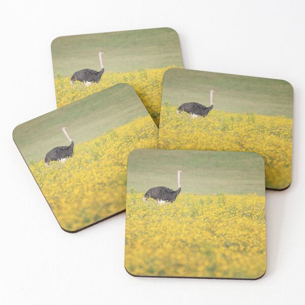 Item preview, Ostrich in the Flowers Tanzania Africa designed and sold by PhotoArt by Joan Carroll.