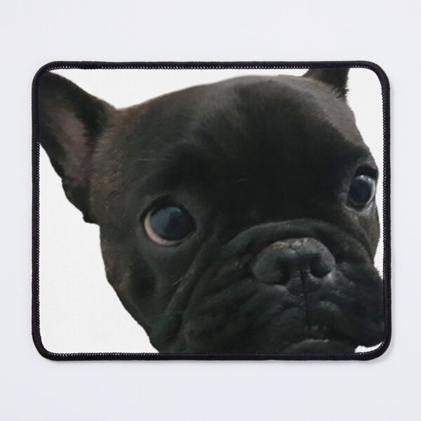 Item preview, french bull dog designed and sold by mcnamara1121.