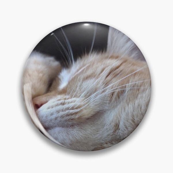 Item preview, Orange tabby cat hugging her face designed and sold by Crafty Fox & Art Panda ♥️.