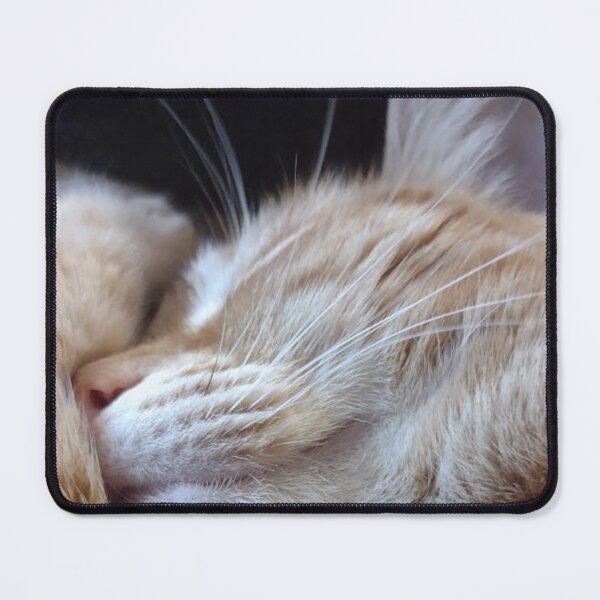 Item preview, Orange tabby cat hugging her face designed and sold by Crafty Fox & Art Panda ♥️.