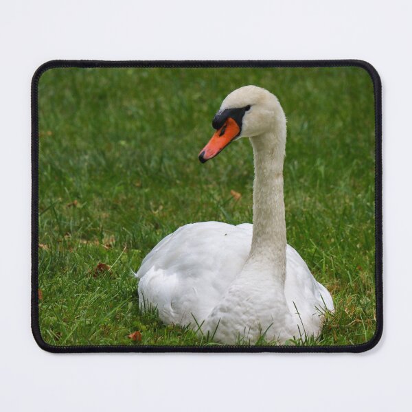 Item preview, White Swan designed and sold by Sonya Umble.