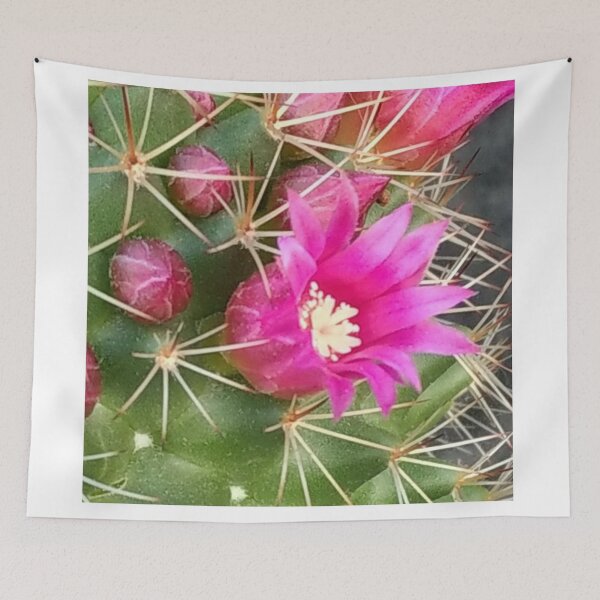 Item preview, Catcus flower  designed and sold by KyraMackenzie.