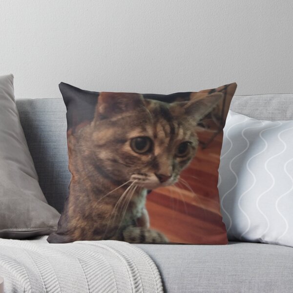 Item preview, Brown torbie cat looking at you designed and sold by Crafty Fox & Art Panda ♥️.