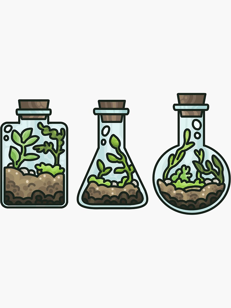 Terrariums Art Sticker Set | Plants | Planters | Succulents | Containers |  Potted Plants | Stickers | Garden | Plants in Jars