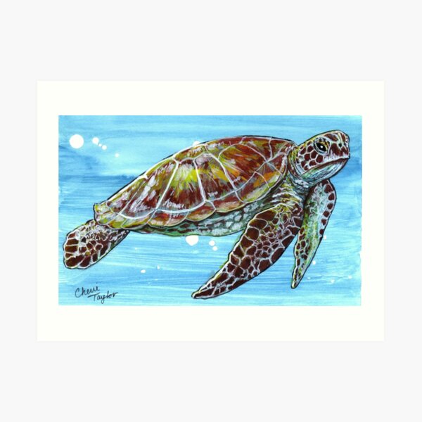 Turtle Print Art Print