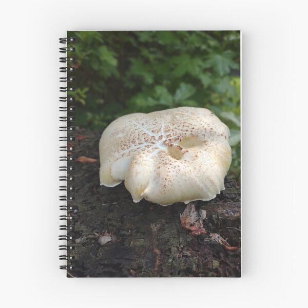Item preview, Neolentinus lepideus fungus designed and sold by Crafty Fox & Art Panda ♥️.