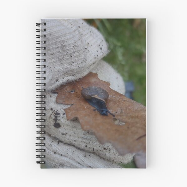 Item preview, Cute prussian blue snail on a dying leaf designed and sold by Crafty Fox & Art Panda ♥️.
