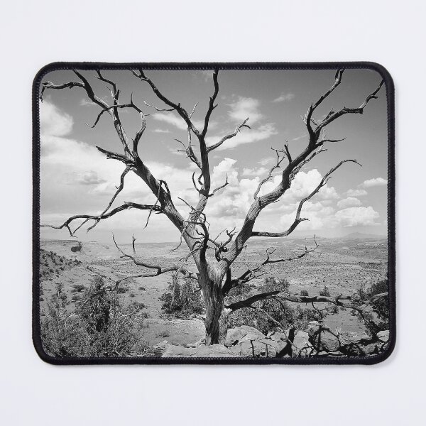 Item preview, Paria Tree Last Stand B&W X103 designed and sold by RichFrancoCars.