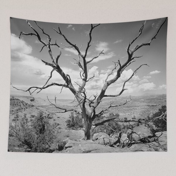 Item preview, Paria Tree Last Stand B&W X103 designed and sold by RichFrancoCars.
