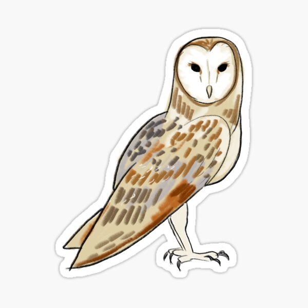 Item preview, Barn owl designed and sold by girlinwhiteglasses.