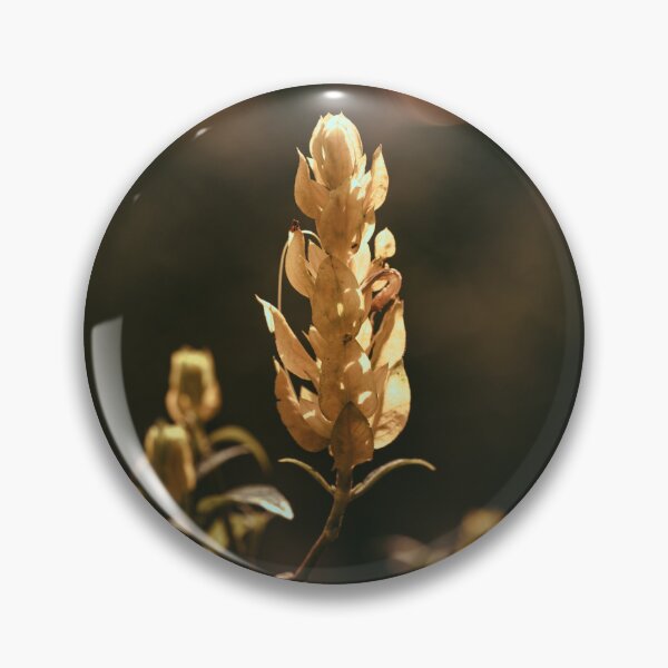 Item preview, Golden shrimp plant macro photography decoration warm tones designed and sold by dankomarcha.