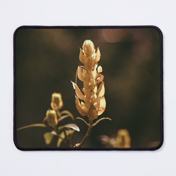 Item preview, Golden shrimp plant macro photography decoration warm tones designed and sold by dankomarcha.